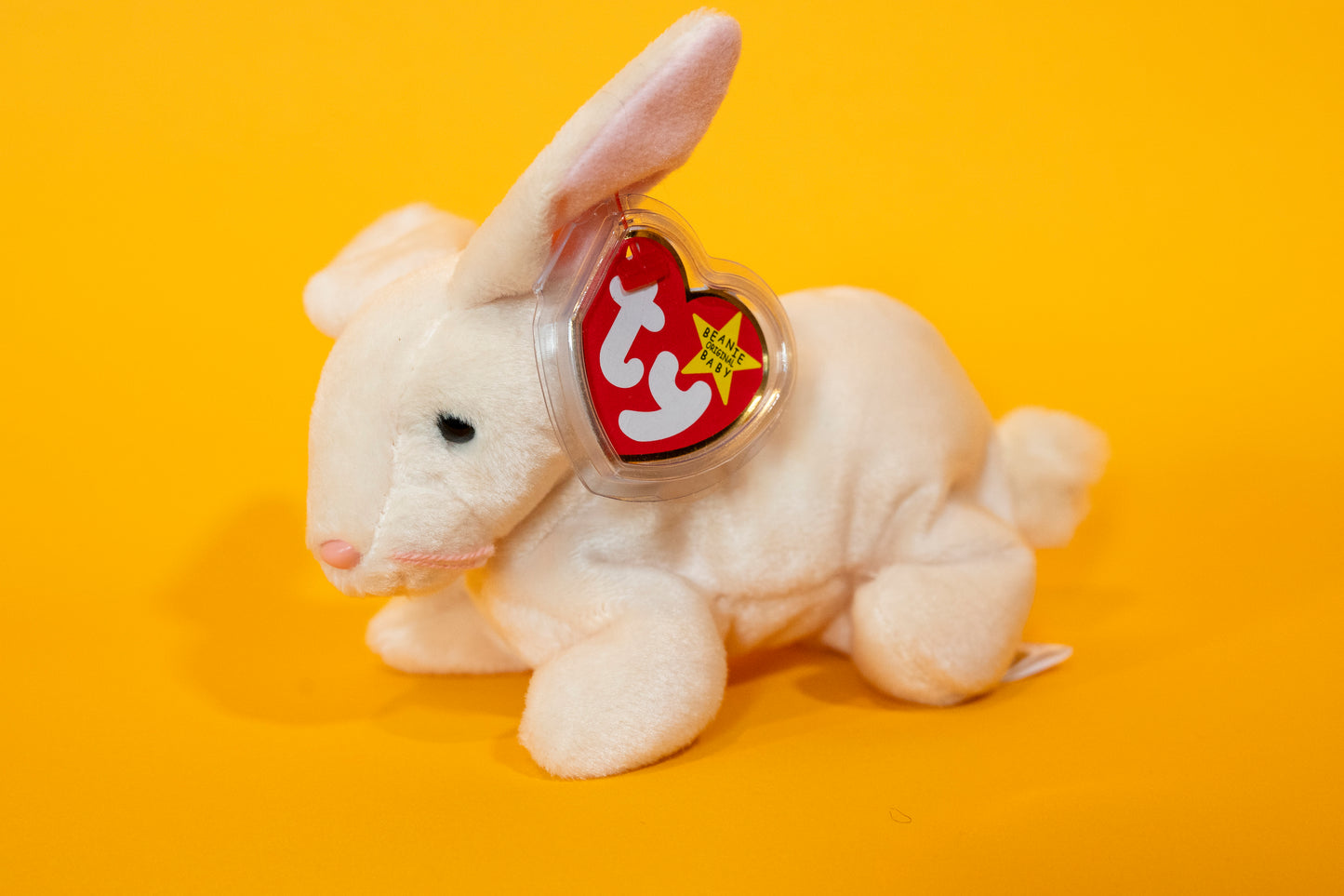 Nibbler (Bunny Rabbit) - TY Beanie Babies - Tag in Protector - Excellent Condition