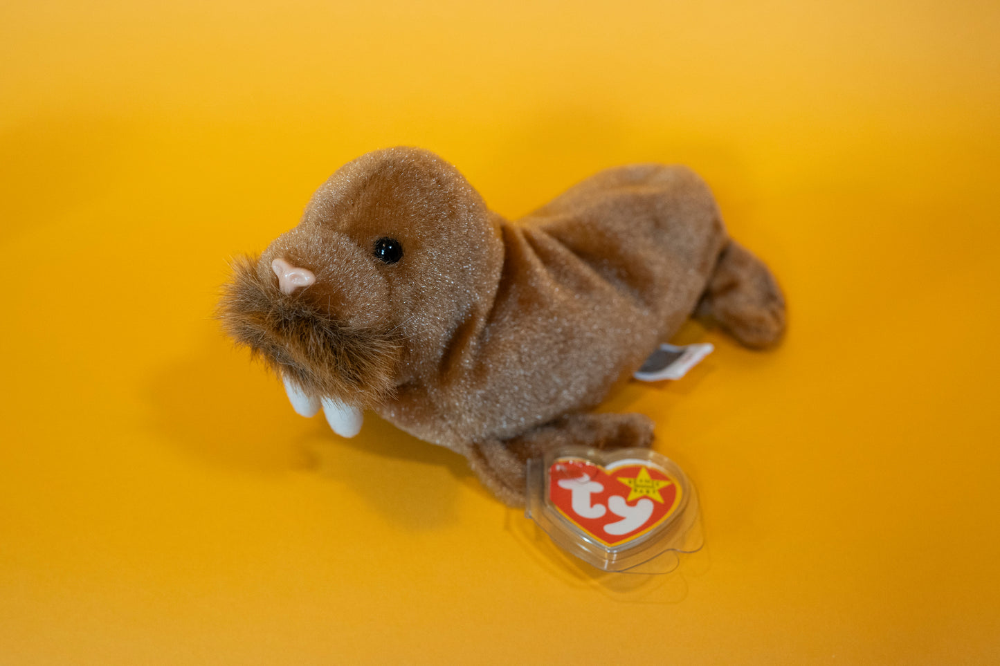 Paul (Walrus) - TY Beanie Babies - Tag in Protector - Excellent Condition