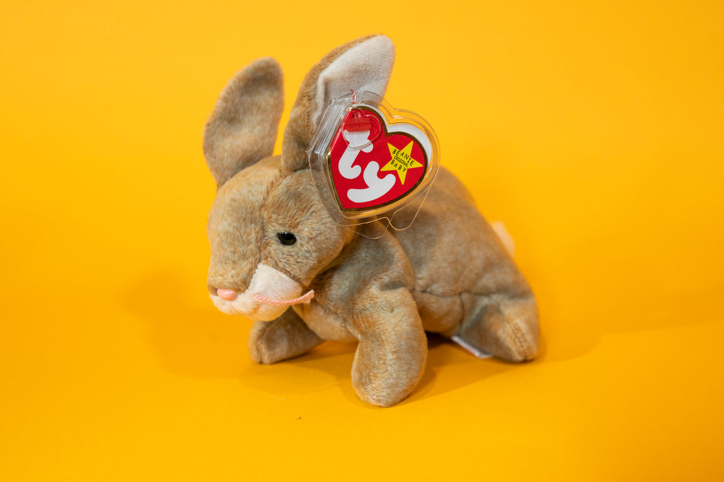 Nibbly (Bunny Rabbit) - TY Beanie Babies - Tag in Protector - Excellent Condition