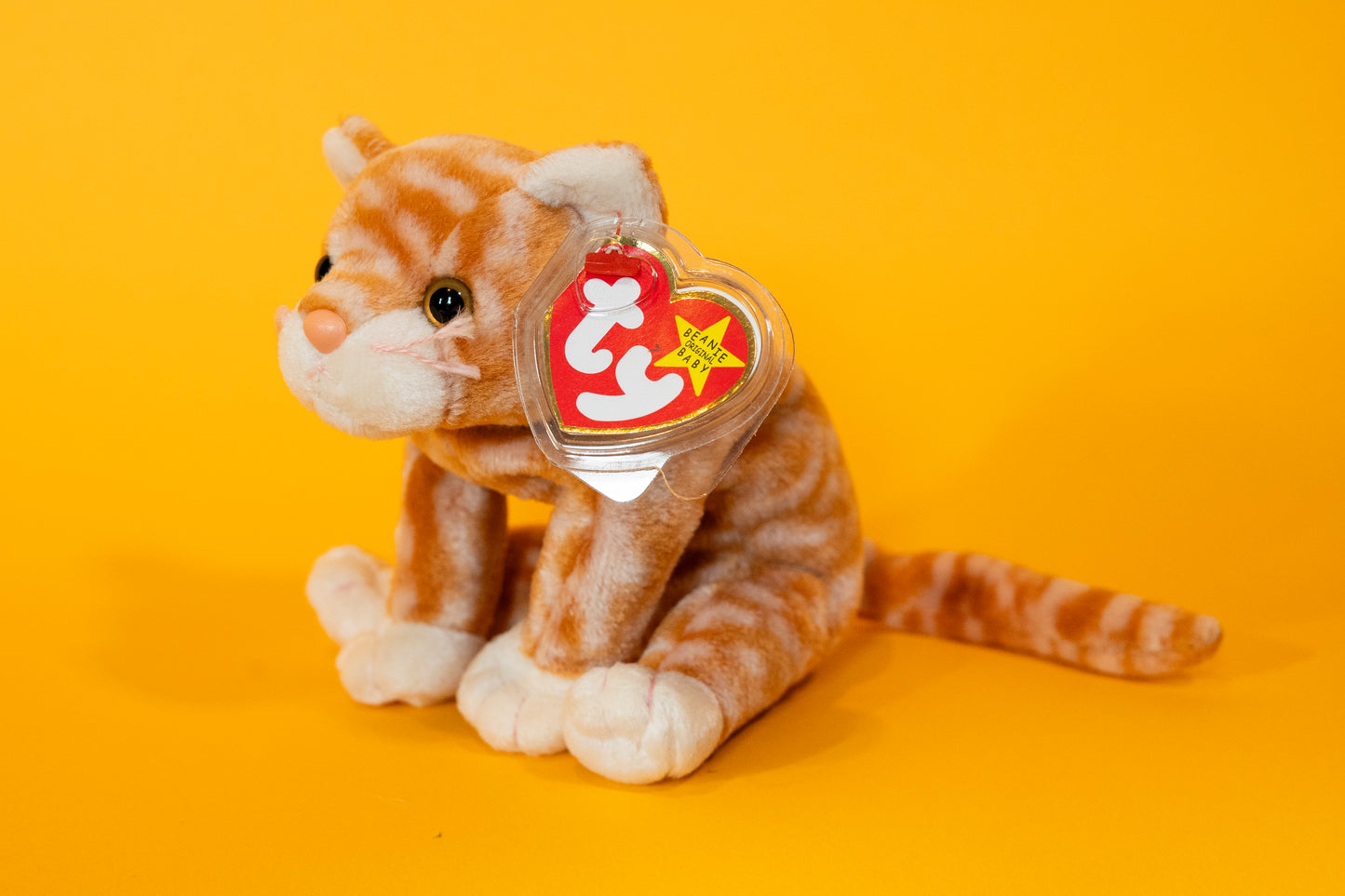 Amber (Cat) - TY Beanie Babies - Tag in Protector - Excellent Condition