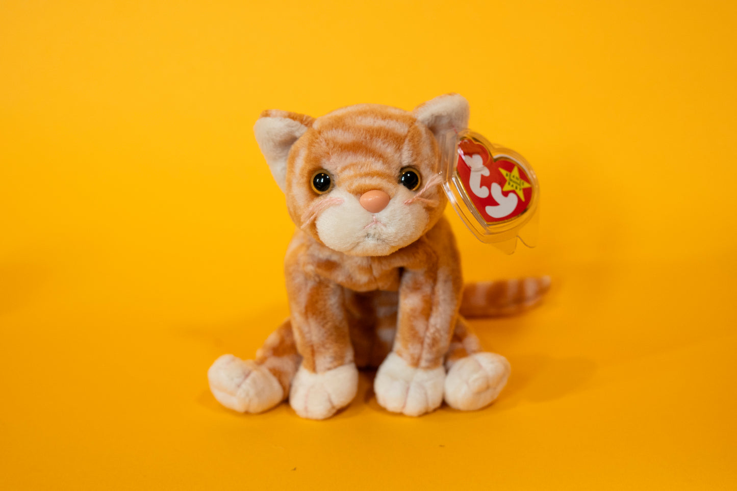 Amber (Cat) - TY Beanie Babies - Tag in Protector - Excellent Condition