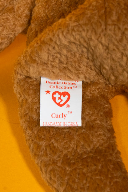 Curly (Bear) - TY Beanie Babies - PVC Pellets - Tag in Protector - Excellent Condition