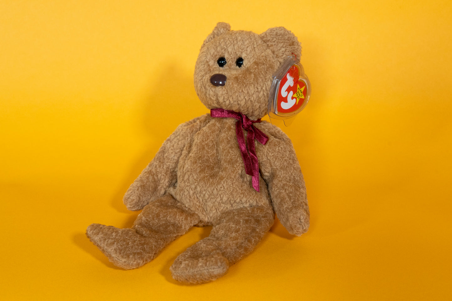 Curly (Bear) - TY Beanie Babies - PVC Pellets - Tag in Protector - Excellent Condition