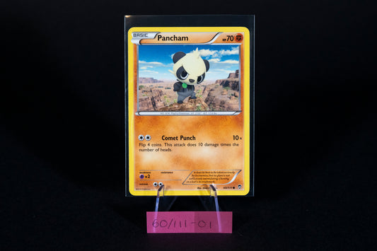 60/111, Pancham, Pokemon, XY, Furious Fists, 2014, Common, Ungraded, English