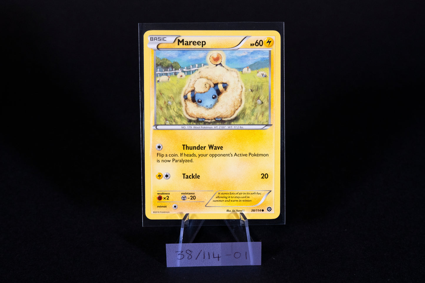 38/114, Mareep, Pokemon, XY, Steam Siege, 2016, Common, Ungraded, English