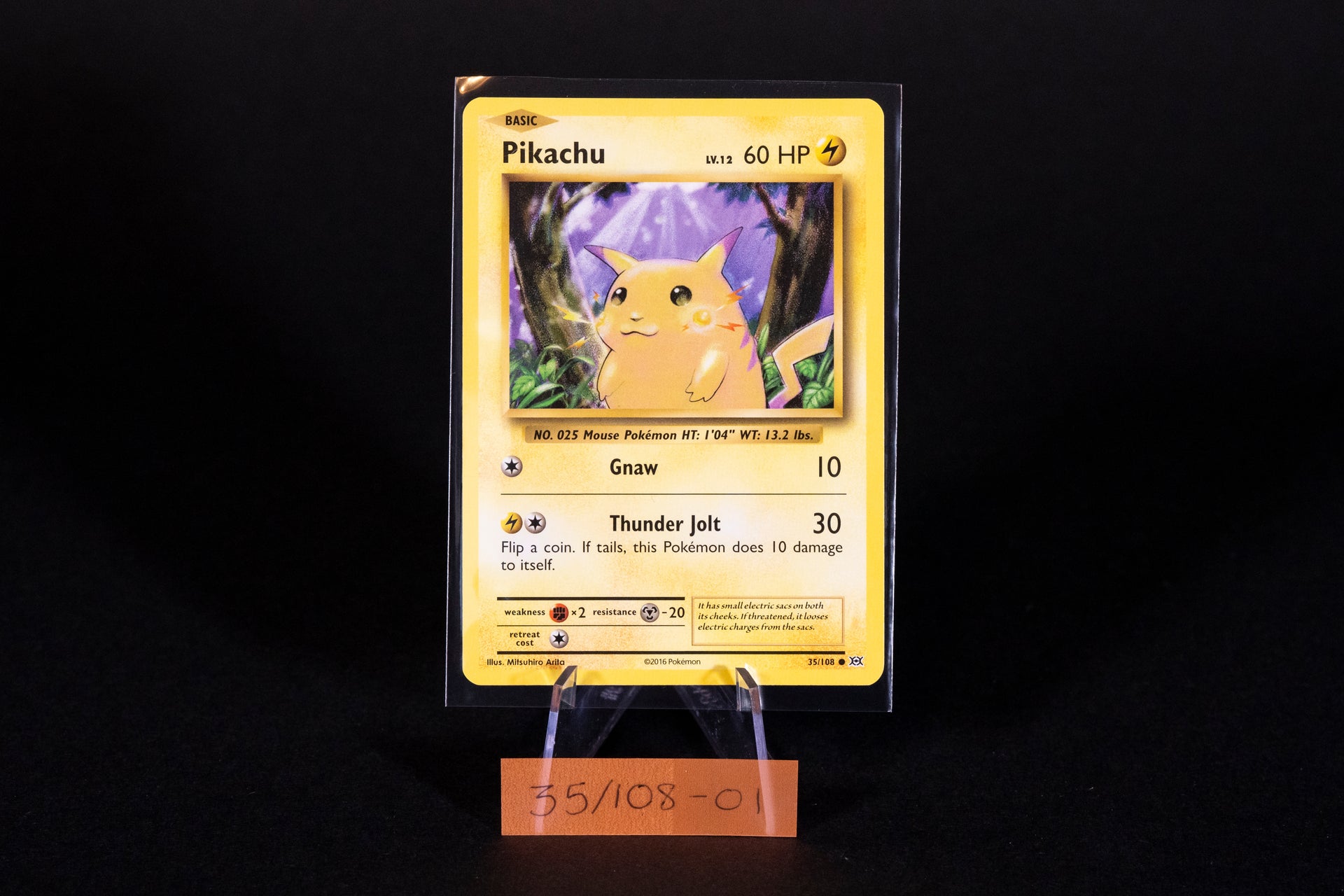 35/108, Pikachu, Pokemon, XY, Evolutions, 2016, Common, Ungraded, Engl – Tenrec Studios
