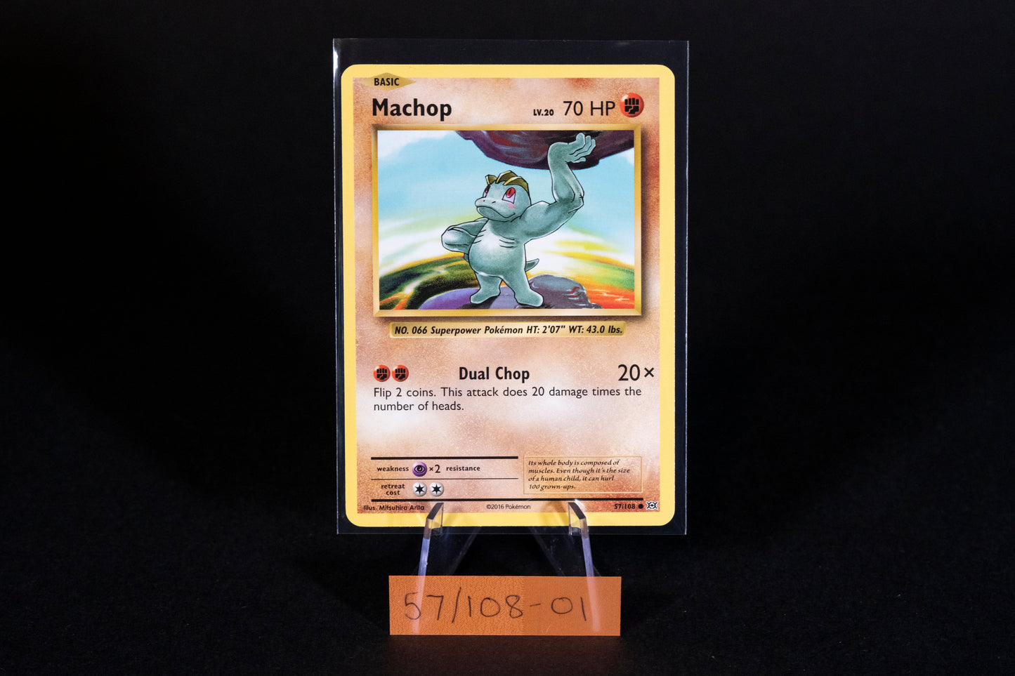 57/108, Machop, Pokemon, XY, Evolutions, 2016, Common, Ungraded, English