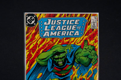 Justice League America, #256, DC Comics, 1986