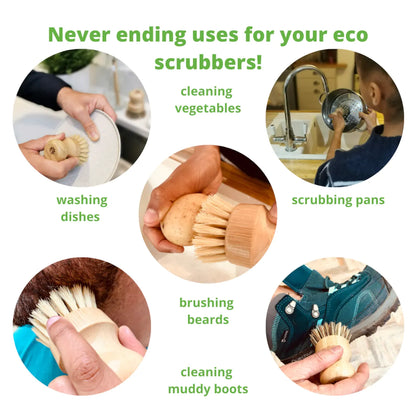 Pot Scrubbing Brushes (pair in gift box) - Ecojiko